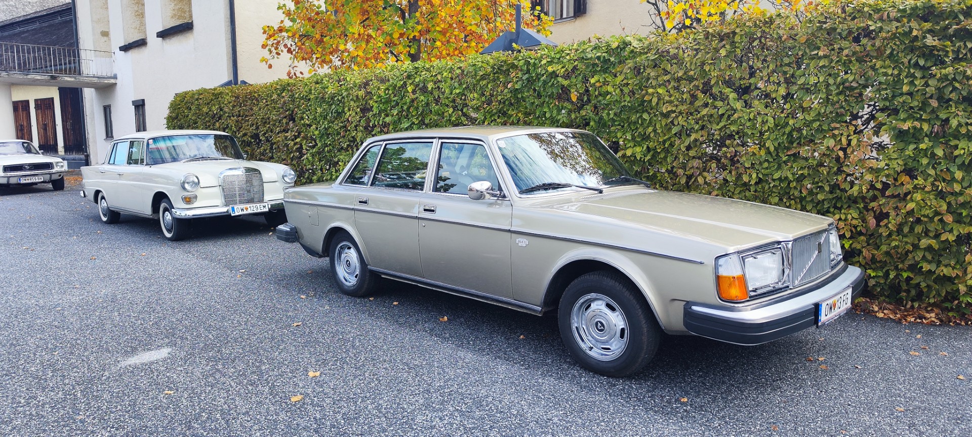 20261011 Herbstausfahrt